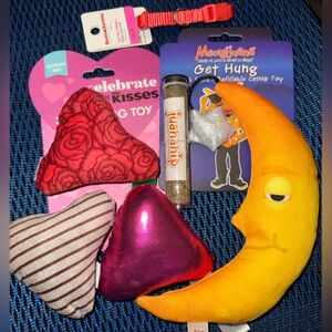 Dog toy Cat nip and  xs collar